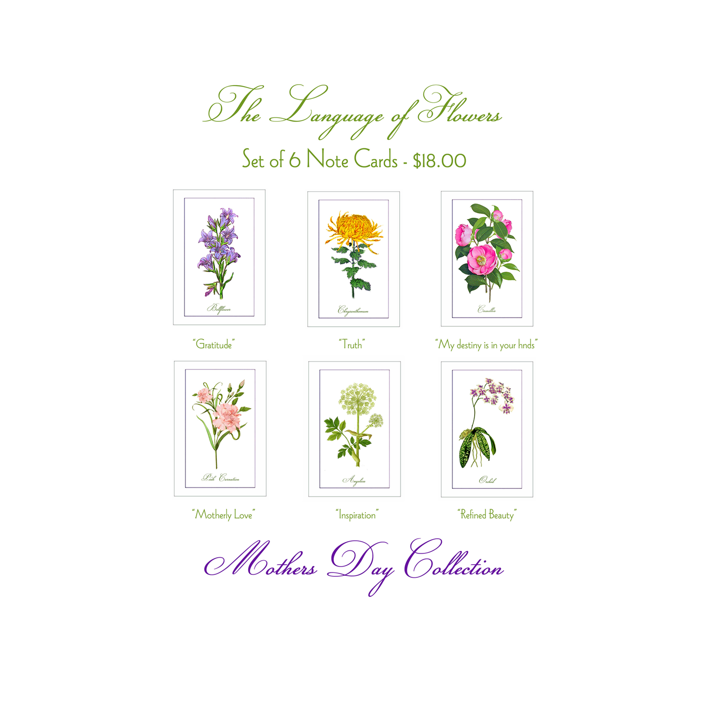Language of Flowers Special Collection - Honoring Influential Women in your Life